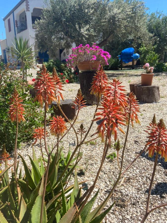 Apartmán La Casa Di Gioggio Ioppolo Giancaxio Exteriér fotografie