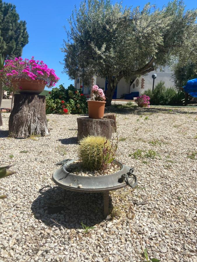 Apartmán La Casa Di Gioggio Ioppolo Giancaxio Exteriér fotografie