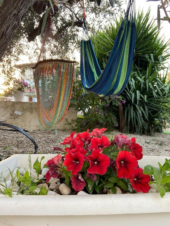 Apartmán La Casa Di Gioggio Ioppolo Giancaxio Exteriér fotografie